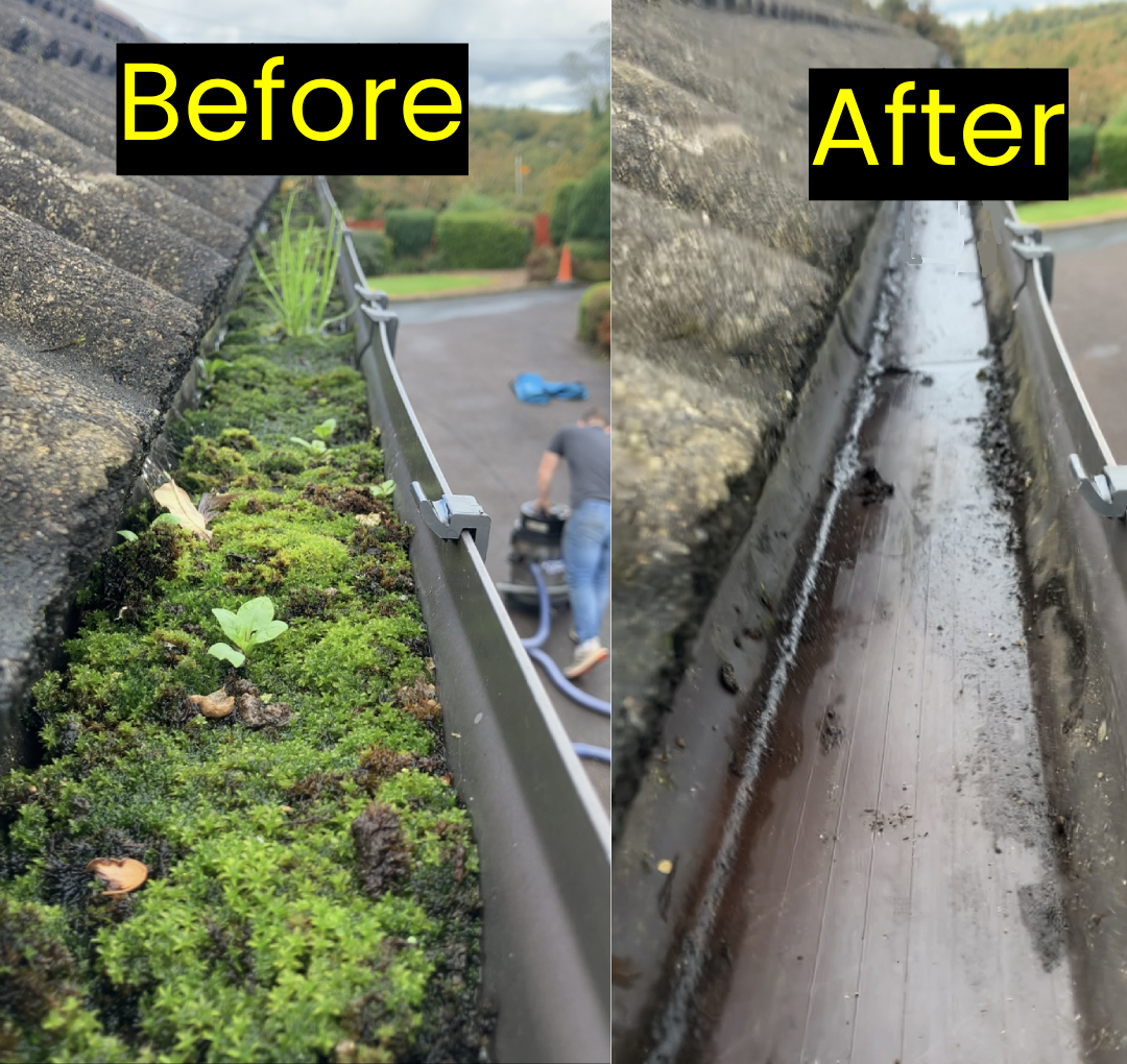 gutter cleaning before after